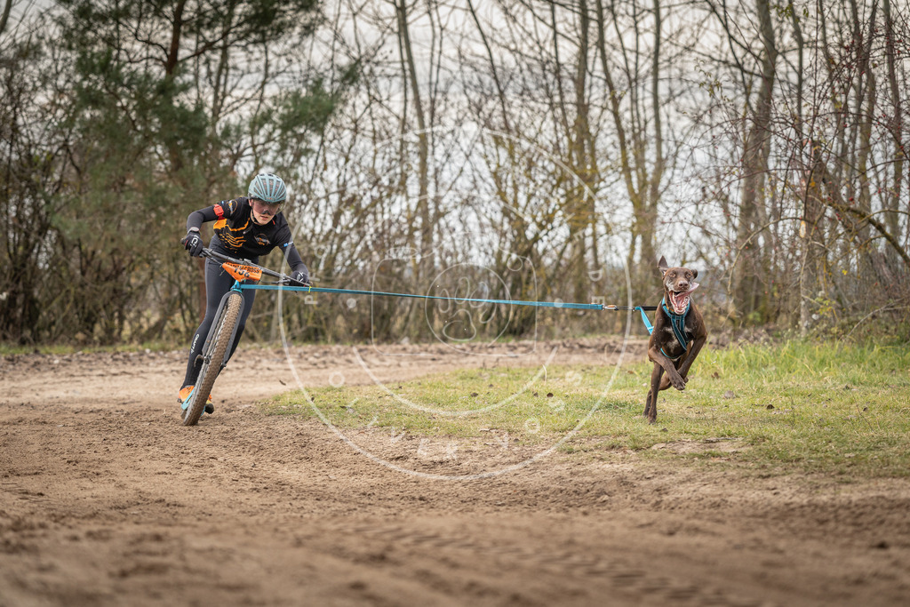 Pfotenfotografie_DV3A9102 | Hundefotografie, Tierfotograf, Pfotenfotografie, Fotoshooting Hund, Hunde Portrait, Hundesport, Hundeportraits, Heideshooting, Hunde, Sportfotograf, Hundefotograf, Turnierhundsport, THS,  - Realisiert mit Pictrs.com