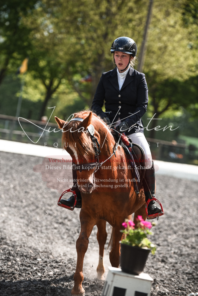 DSC_9047 | Pferde- und Turnierfotografie in Westsachsen. Pferdeportraits, Auftragszeichnungen und intuitive Kunst.