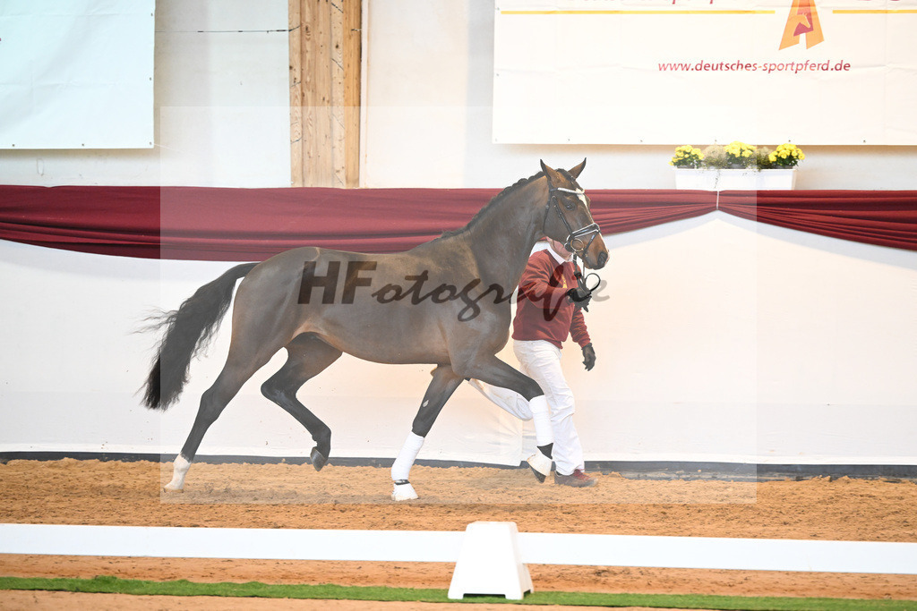 Kat-Nr. 61 v. Goldberg_Reglauer_66221995 | hf-fotografie - Realisiert mit Pictrs.com
