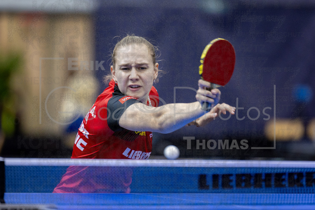 European_Championships_2024-10-16_007 | good-photos - Realisiert mit Pictrs.com