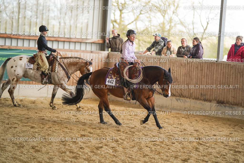 DSC08880 | Pferdegrafie