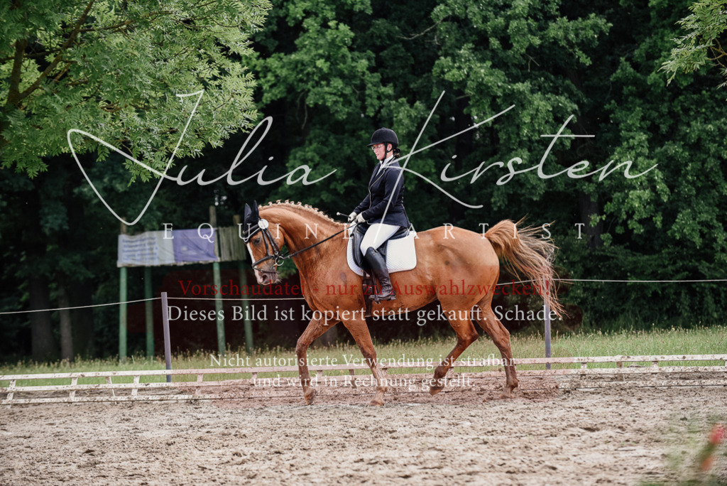 DSC_0688 | Pferde- und Turnierfotografie in Westsachsen. Pferdeportraits, Auftragszeichnungen und intuitive Kunst.