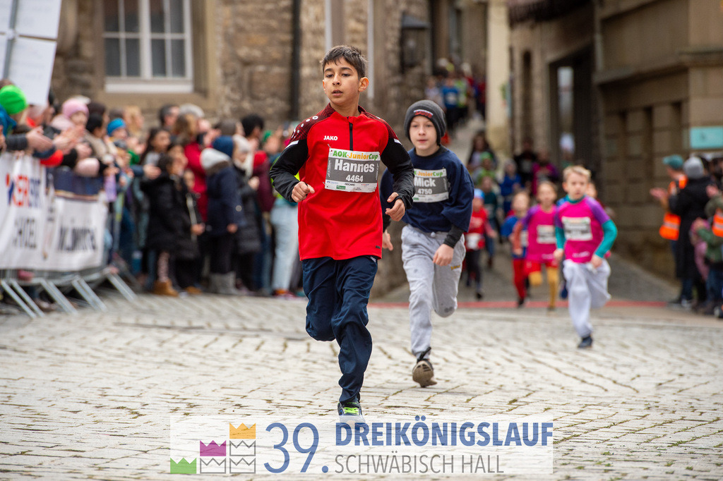 39. 3Koenigslauf 2025 | 20250106_3koenigslauf - Realisiert mit Pictrs.com