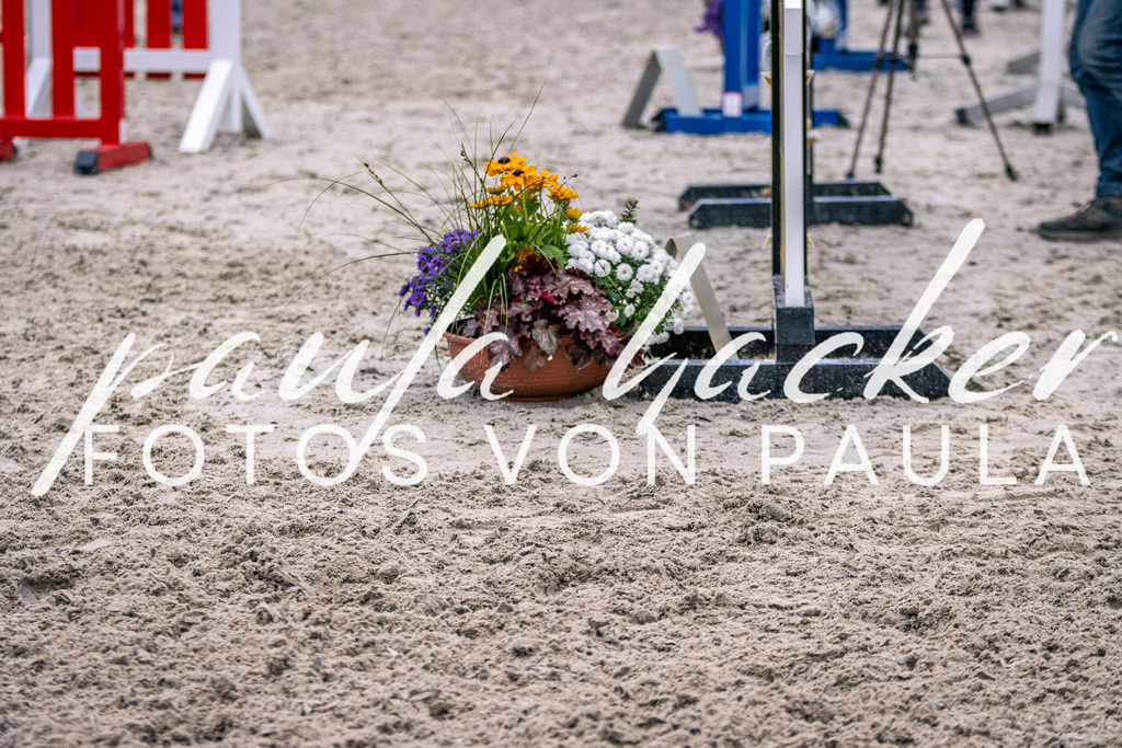 IMG_6202 | Erleben Sie dynamische Sport- und emotionale Tierfotografie in Süddeutschland mit Fotos von Paula. Spezialisiert auf Pferde- und Hundefotografie sowie Sportevents. Kontaktieren Sie mich für einzigartige und ausdrucksstarke Bilder Ihrer besonderen Momente. - Realisiert mit Pictrs.com
