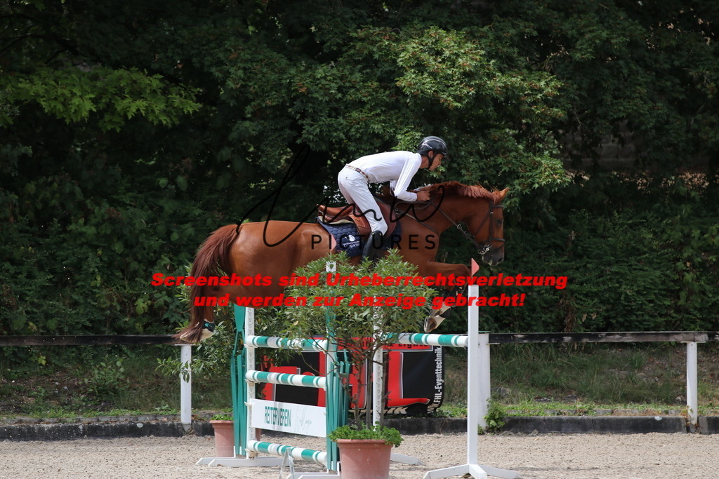 IMG_2048 | lmwpictures - Realisiert mit Pictrs.com