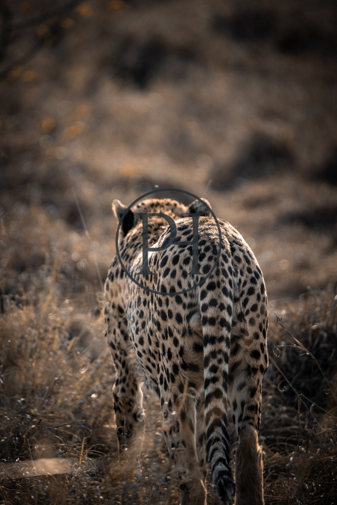 DSC09390 | Philipp-Heist - Realisiert mit Pictrs.com