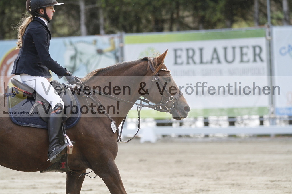 _MG_8954 | equestrian-live-com