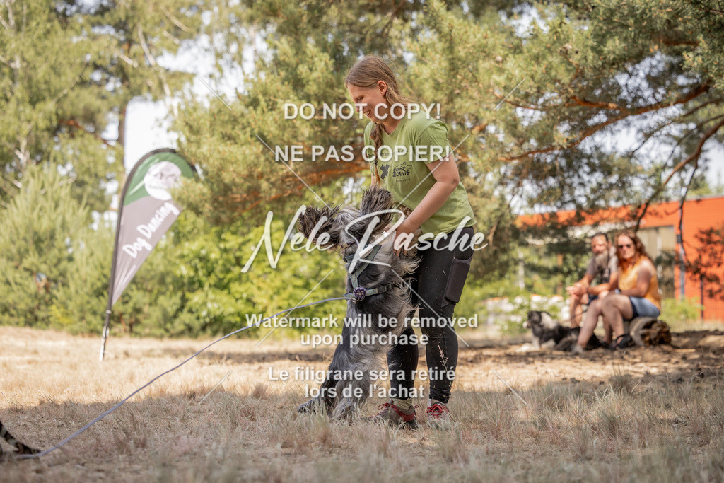 nelerasche_soDD2_360 | nelerasche