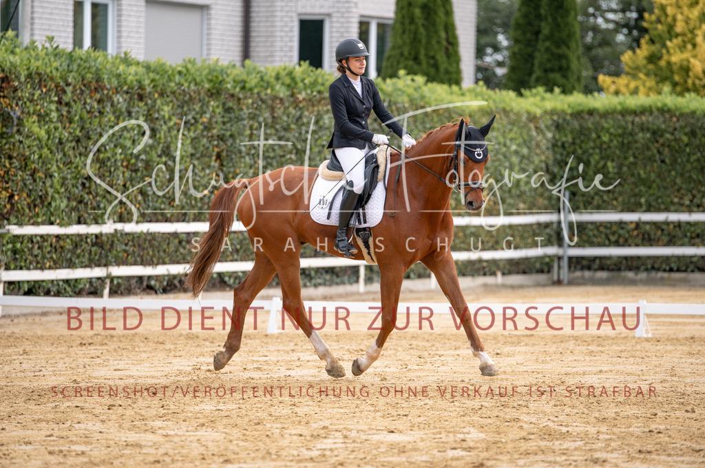 Schugtsche-Aluta25-40.DressurprfA_-308 | Schugtsche Fotografie - Realisiert mit Pictrs.com