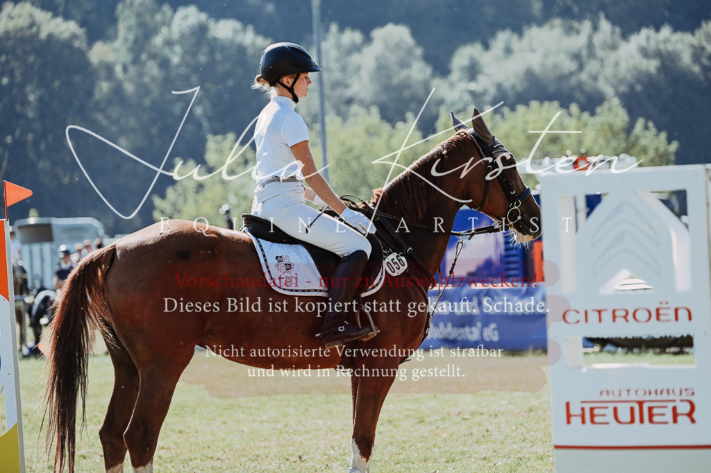 DSC_5600 | Pferde- und Turnierfotografie in Westsachsen. Pferdeportraits, Auftragszeichnungen und intuitive Kunst.