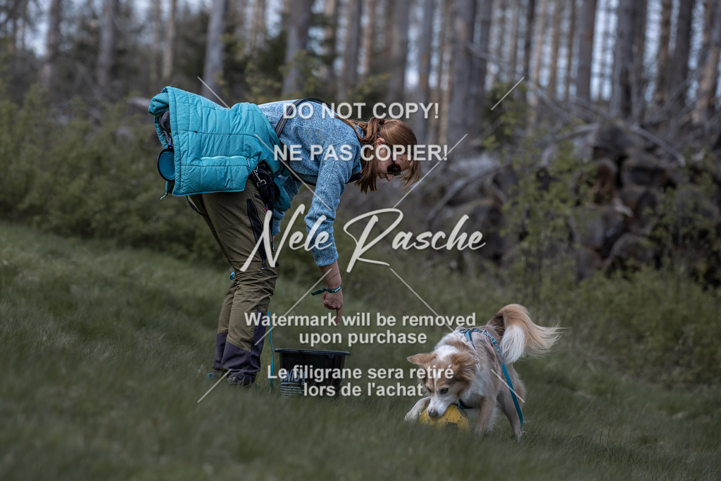6Z1A1059 | nelerasche