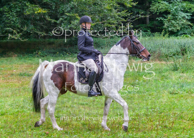 Jagd Perdoel_MarinaHewigDSCF3371 | Fotografie, FotoArt, PferdesportArt, Pferdesportfotografie, Landschaftsfotografie, Reisefotografie, Reise, Pferde - Realisiert mit Pictrs.com