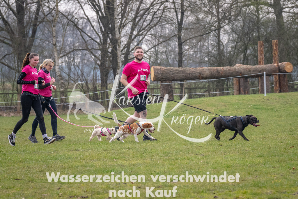 _ZZ91460 | kk-dogfotos