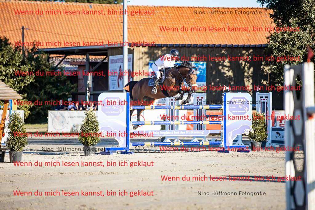 BK1A8425 | Turnierbilder Turnierfotos Nina Hüffmann Turnierfotografie Pferdefotografie Tierzeichnung Haustierzeichnung Pferdezeichnung Hundezeichnung Videograf  - Realisiert mit Pictrs.com