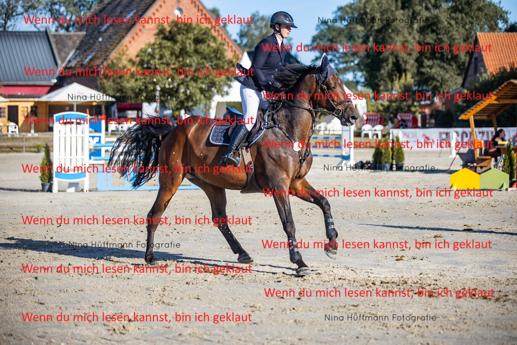 BK1A6044 | Turnierbilder Turnierfotos Nina Hüffmann Turnierfotografie Pferdefotografie Tierzeichnung Haustierzeichnung Pferdezeichnung Hundezeichnung Videograf  - Realisiert mit Pictrs.com