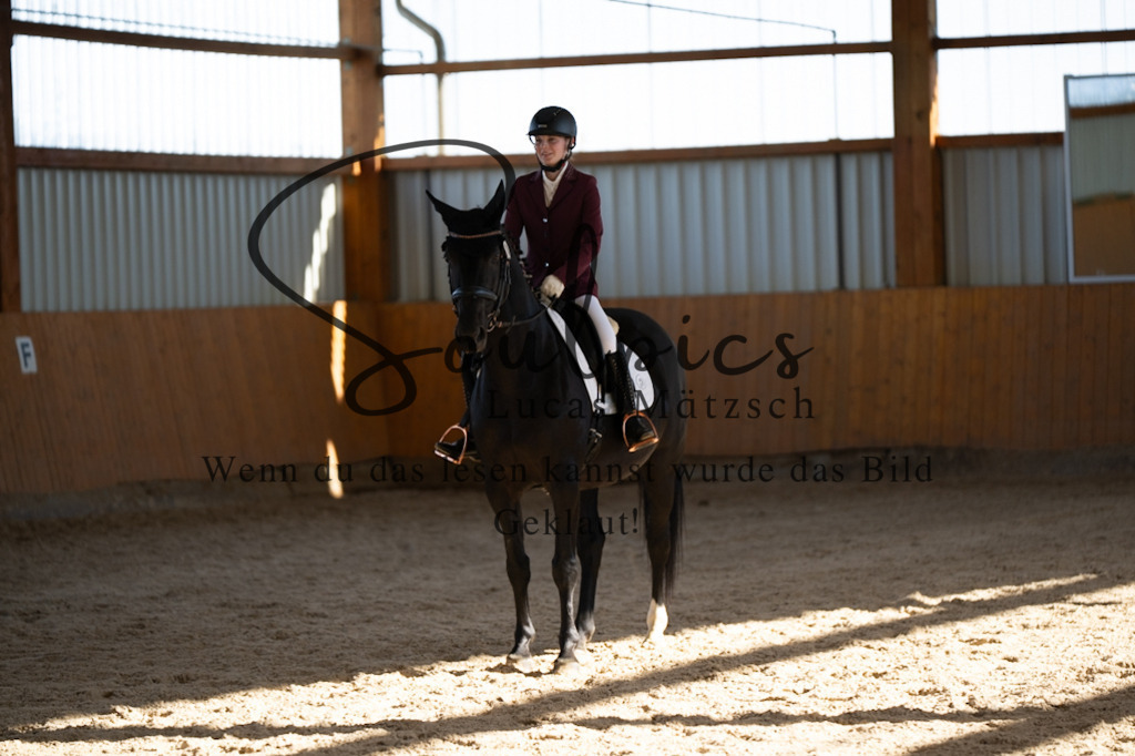 A7V01905 | Pferdefotograf