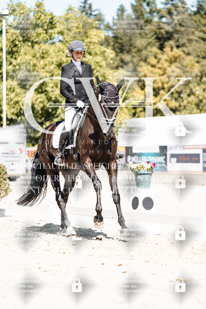 CK900180 | Turnierfotografie Pferdefotografie Trier Rheinland-Pfalz Pferdesport Reitsport Tierfotografie Sportfotografie Pferdevideo Pferdevideografie Equestrianvideography equestrianphotography  - Realisiert mit Pictrs.com