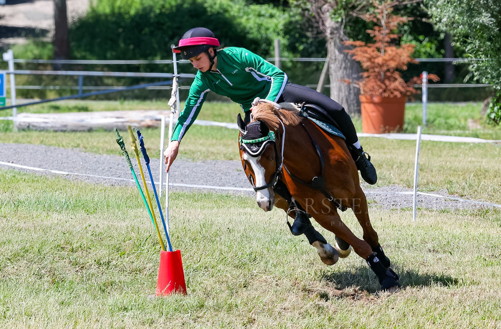 IMG_1617 | Reitsport Reiten