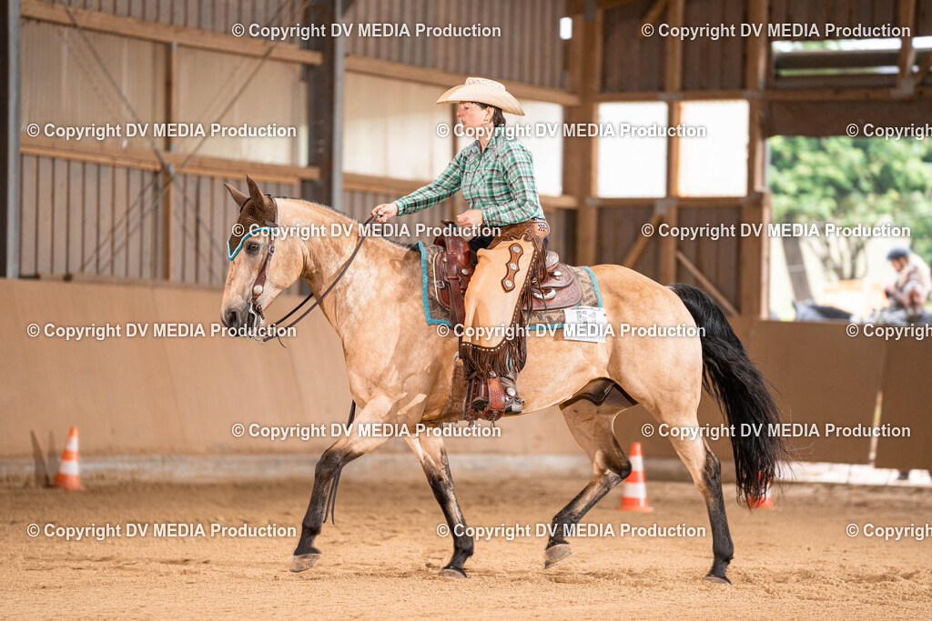 Losheim Tag 1-312 | dv-media-shop - Realisiert mit Pictrs.com