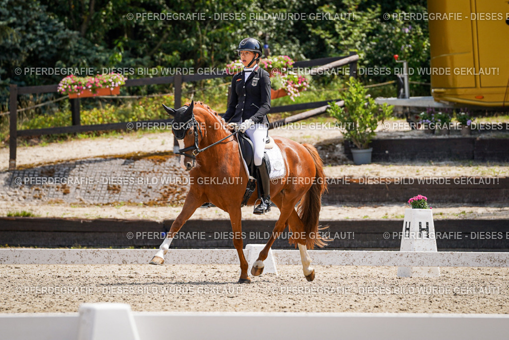 DSC00723 | Pferdegrafie