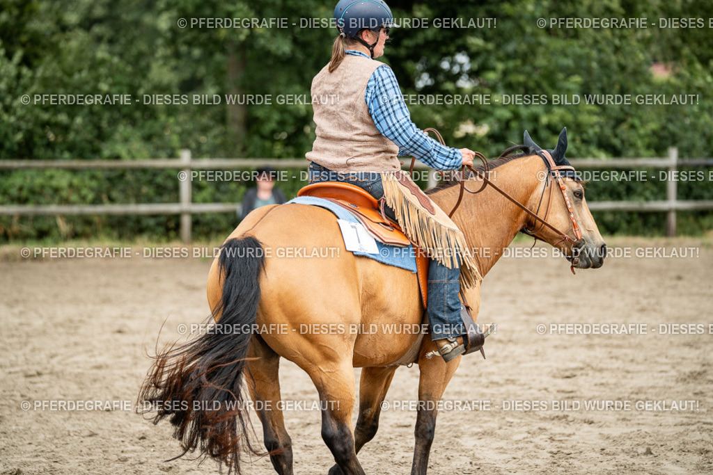 DSC01940 | Pferdegrafie