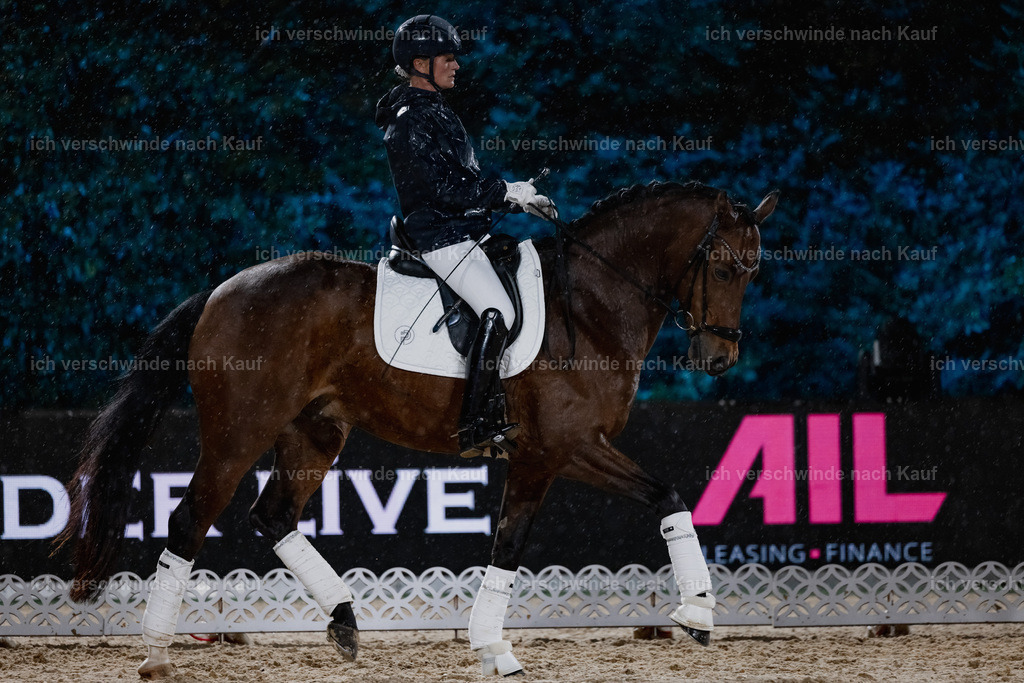 FHClassics-67 | working equitationturnier fotograf videograf stoibphotography marixx film working equitation deutschland reitsport turnierfotografie eventfotografie equestrian events