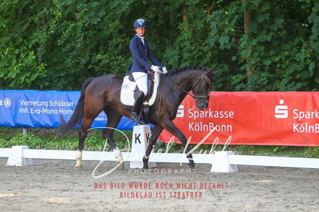 DKP42352 | Turniersportfotografie; Pferdefotografie; Dressurfotografie