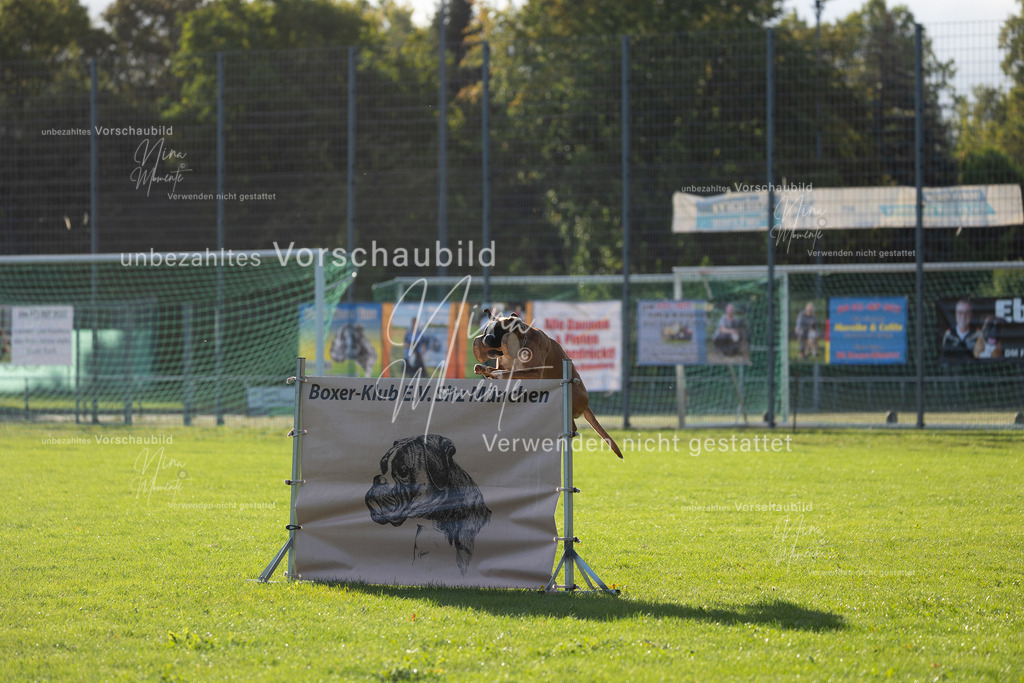 _16A4797 | Einzigartige Fotos von Hunden & Menschen –Actionfotos, Portraits, Vereinsaufnahmen & Paarshootings – authentisch, lebendig & mit Herz.