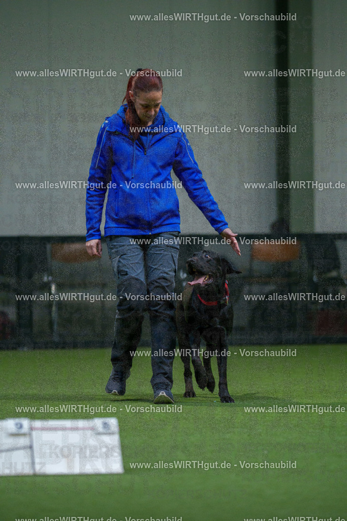 7R504147 | Professionelle Tierfotografie in Mönchengladbach von Daniel Wirth (allesWIRTHgut). Liebevolle & natürliche Bilder von Hunden & Katzen für unvergessliche Erinnerungen.