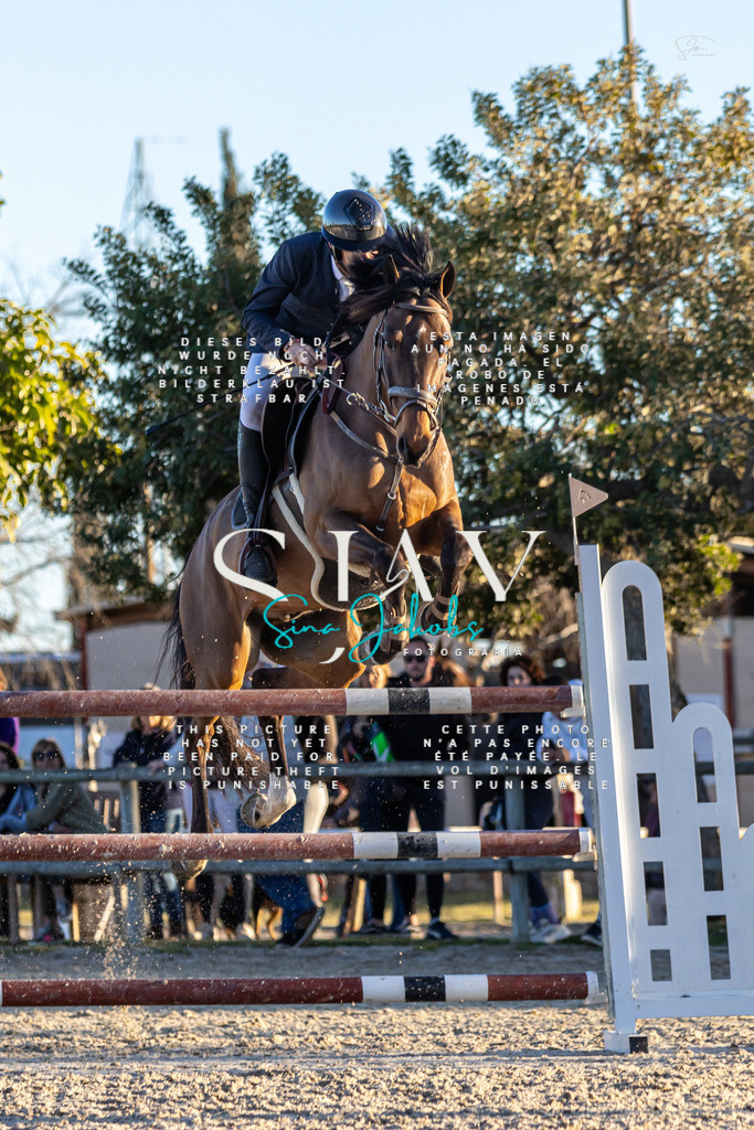 IMG_2950 | s-jay-photography - Realisiert mit Pictrs.com