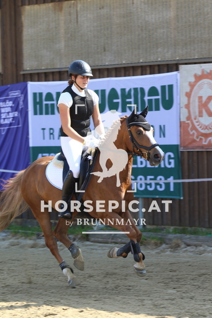 7V2A4118 | Willkommen bei Brunnmayr - Design & Fotografie – Ihrem Spezialisten für Reitturniere und Pferdeveranstaltungen in Oberösterreich, Salzburg und Bayern! Seit über 17 Jahren sind wir leidenschaftlich dabei.
