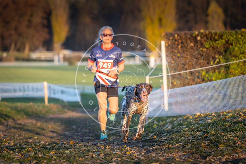 CaniXpix_DV3A5561 | Hundefotografie, Tierfotograf, Pfotenfotografie, Fotoshooting Hund, Hunde Portrait, Hundesport, Hundeportraits, Heideshooting, Hunde, Sportfotograf, Hundefotograf, Turnierhundsport, THS,  - Realisiert mit Pictrs.com