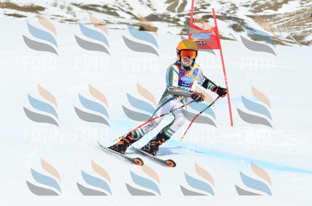 _ELE2203 | holidayphoto