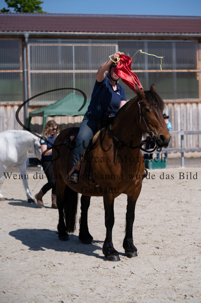 A7V01865 | Pferdefotograf