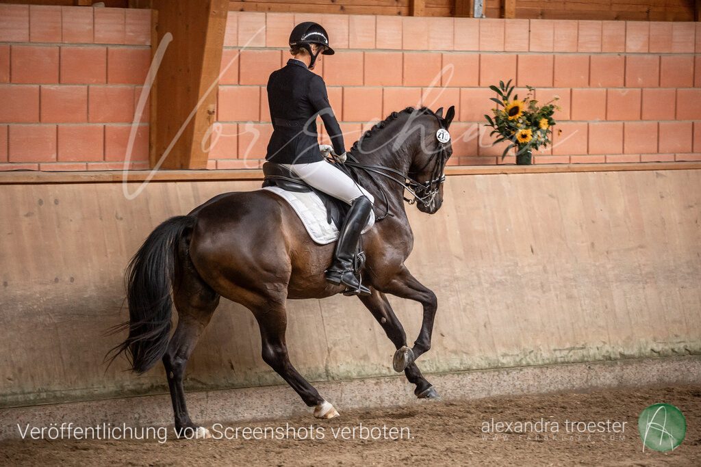 250913_Barop_15_065 | farbklaex.com