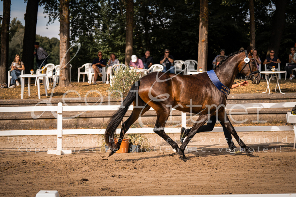 FrER00247 | Leoni Ertmer Photography - Realisiert mit Pictrs.com