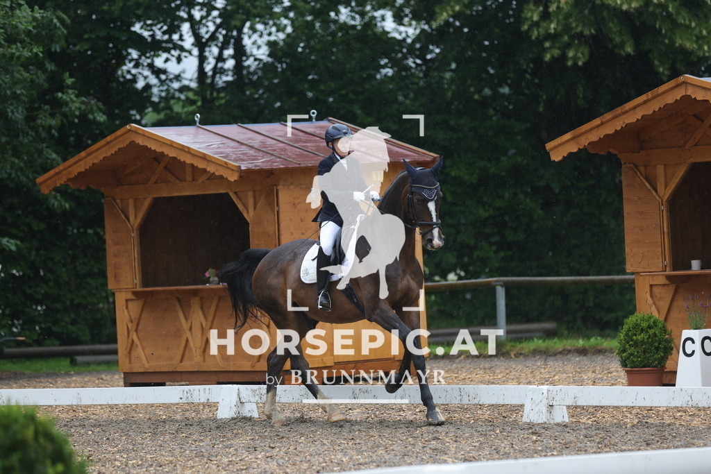 0P6A8085 | Willkommen bei Brunnmayr - Design & Fotografie – Ihrem Spezialisten für Reitturniere und Pferdeveranstaltungen in Oberösterreich, Salzburg und Bayern! Seit über 17 Jahren sind wir leidenschaftlich dabei.