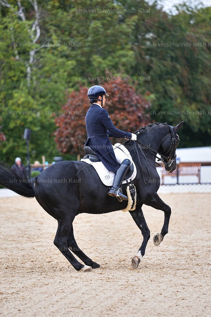 07-194-DRESSUR  S___  -Marixx-5129 | working equitationturnier fotograf videograf stoibphotography marixx film working equitation deutschland reitsport turnierfotografie eventfotografie equestrian events