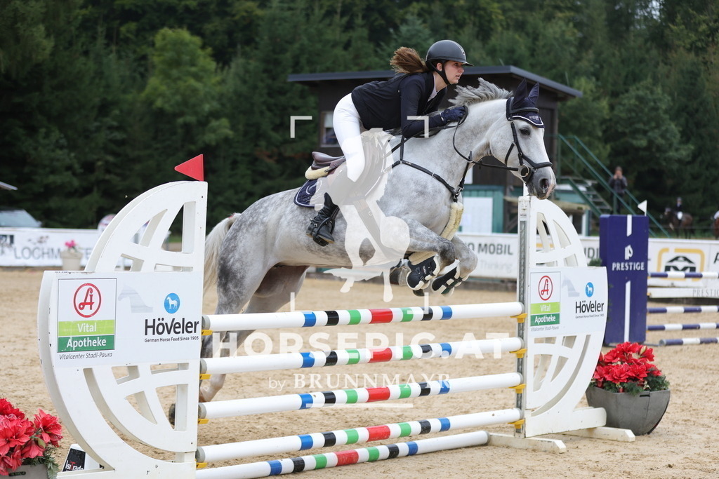 0P6A6327 | Willkommen bei Brunnmayr - Design & Fotografie – Ihrem Spezialisten für Reitturniere und Pferdeveranstaltungen in Oberösterreich, Salzburg und Bayern! Seit über 17 Jahren sind wir leidenschaftlich dabei.