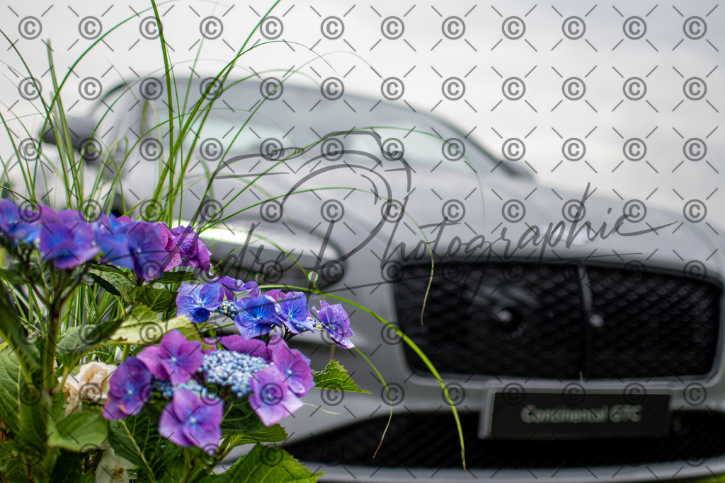 POL_3023 | andre_photographic