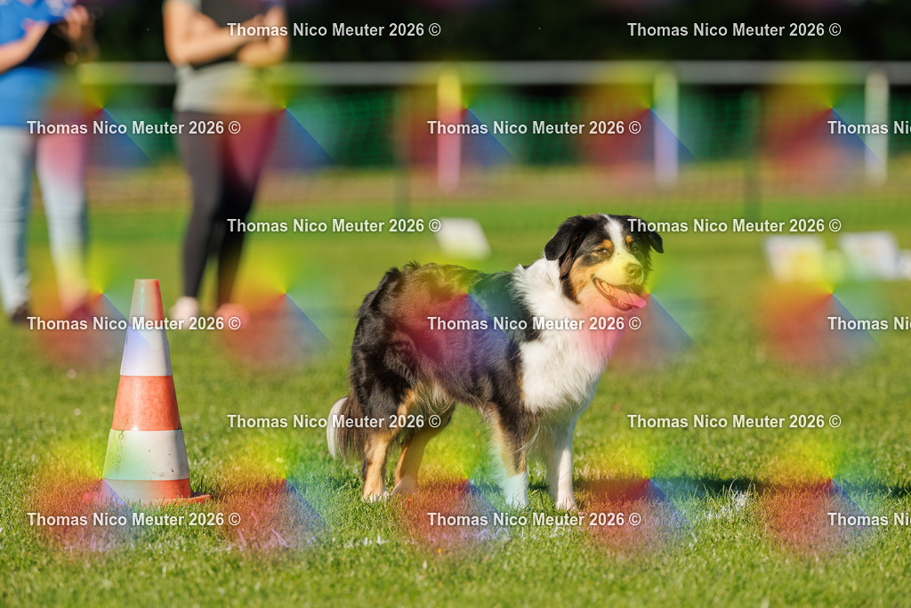 Thomas_Nico_Meuter(C)_04. Oktober 2026_223A3739 | Bild von Thomas Nico Meuter - Realisiert mit Pictrs.com