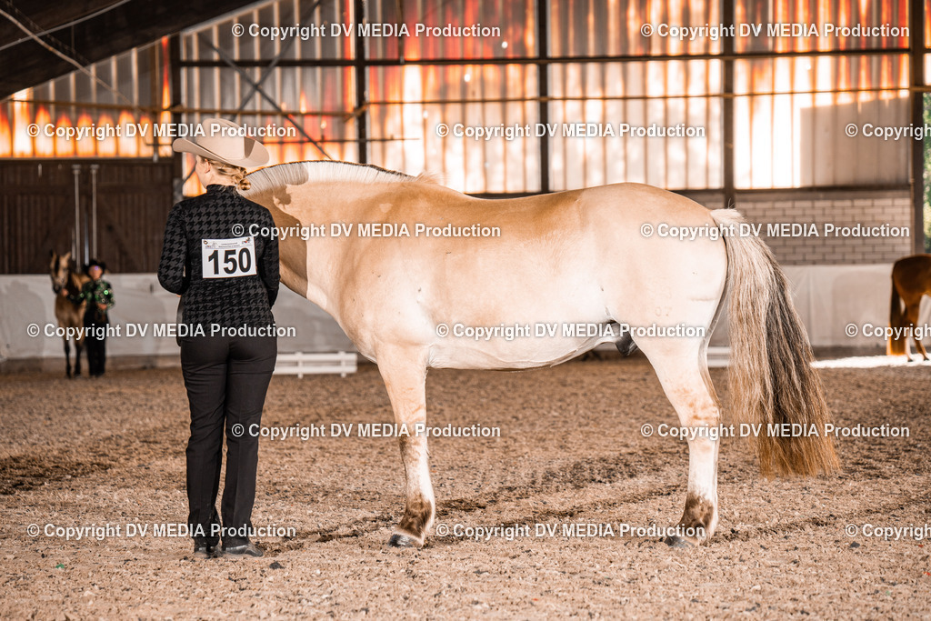 ZH100082 | dv-media-shop - Realisiert mit Pictrs.com