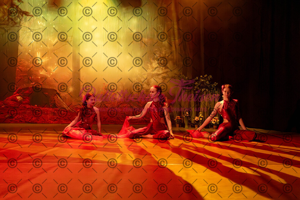 Ballettaufführung-202 | Bildershop Lem'n Entertainment - Realisiert mit Pictrs.com