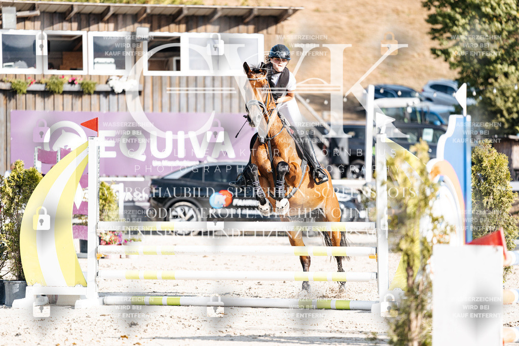 CK909636 | Turnierfotografie Pferdefotografie Trier Rheinland-Pfalz Pferdesport Reitsport Tierfotografie Sportfotografie Pferdevideo Pferdevideografie Equestrianvideography equestrianphotography  - Realisiert mit Pictrs.com