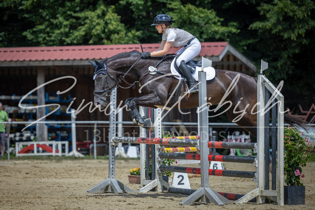 20260704-_3LI0034 | Tierfotografie Pferde, Hunde, Katzen, Haustiere.
Turnierfotografie Reitturniere, Reiten, Springreiten, Dressur in Hanau, dem Main-Kinzig-Kreis und dem Rhein-Main- Gebiet um Frankfurt