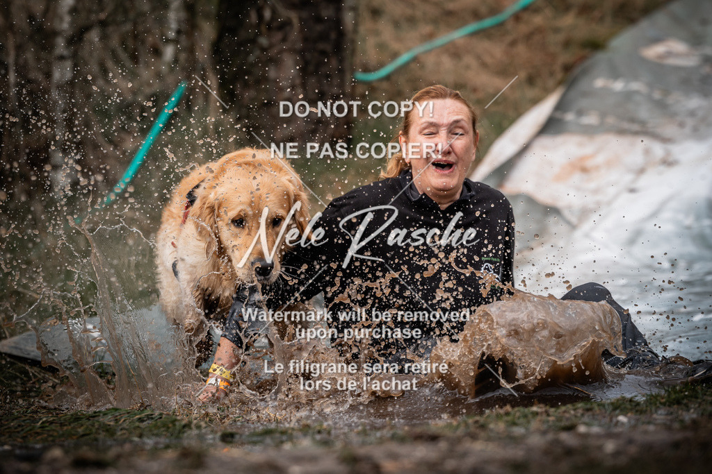 nelerasche_1330-1400_141 | nelerasche