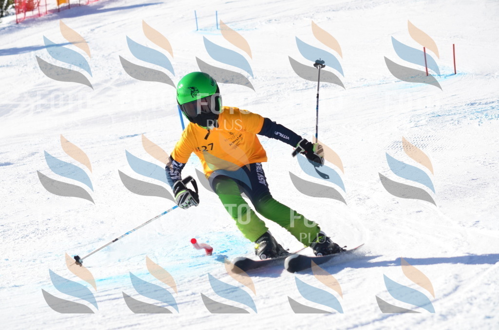 C6409 | holidayphoto