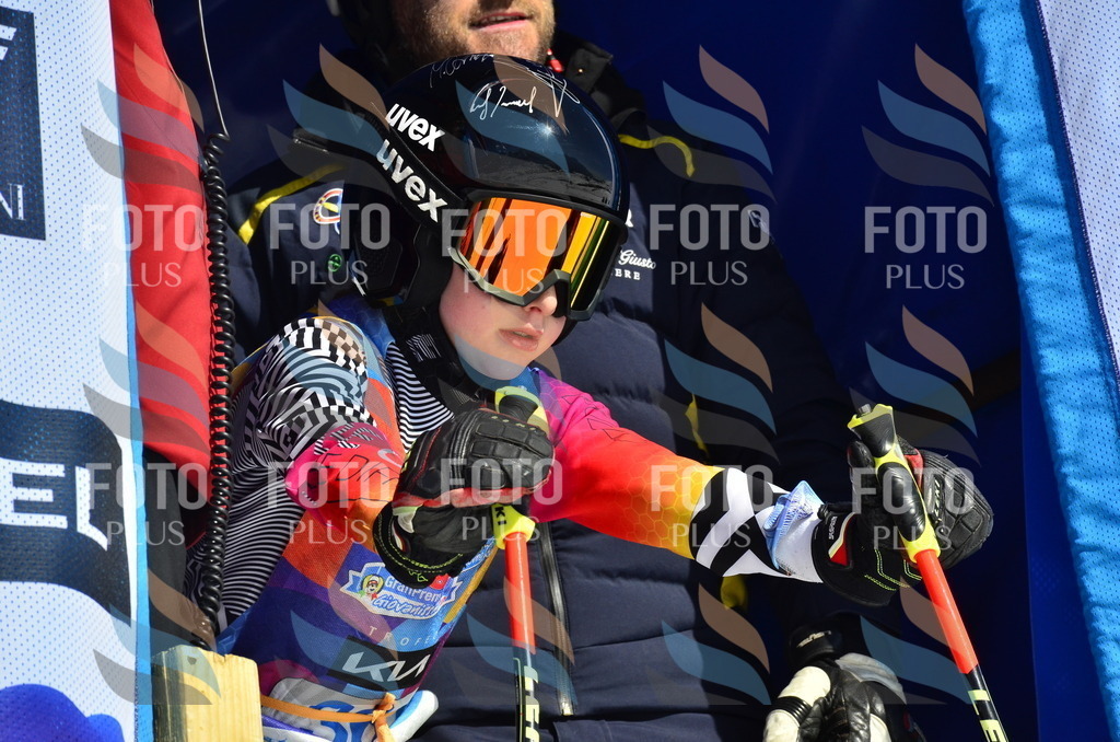 _ELE0018 | holidayphoto