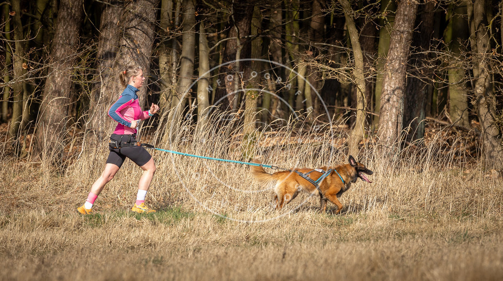 DV3A5992 | Hundefotografie, Tierfotograf, Pfotenfotografie, Fotoshooting Hund, Hunde Portrait, Hundesport, Hundeportraits, Heideshooting, Hunde, Sportfotograf, Hundefotograf, Turnierhundsport, THS,  - Realisiert mit Pictrs.com