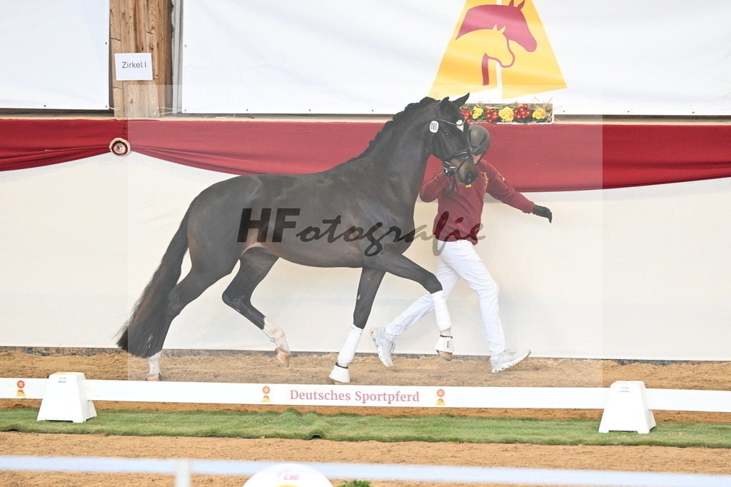 Kat.-Nr. 60 v. Floricello_Heilemann _ Schepper_3260701 | hf-fotografie - Realisiert mit Pictrs.com